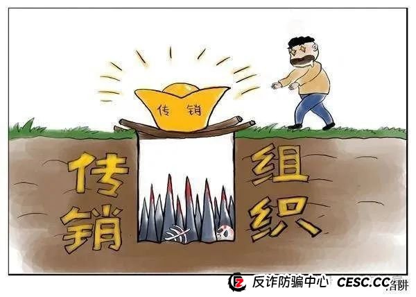 警惕 “兔子外汇保险基金”:量化交易外衣下的资金盘骗局预警(5) 警惕 “兔子外汇保险基金”:量化交易外衣下的资金盘骗局预警(5)