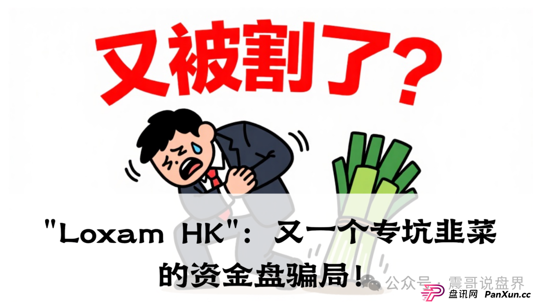 震哥带你扒皮"Loxam HK":又一个专坑韭菜的资金盘骗局!(1) 震哥带你扒皮"Loxam HK":又一个专坑韭菜的资金盘骗局!(1)