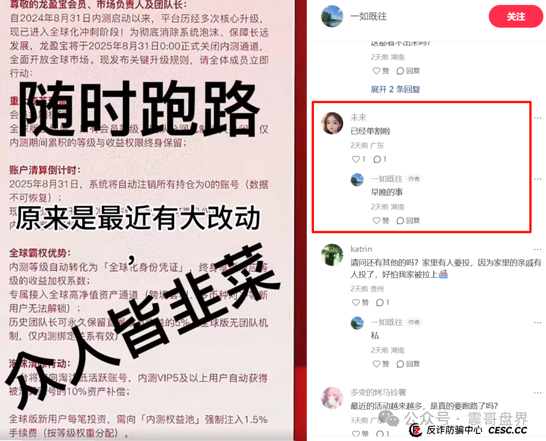 龙鸣联盟(龙盈宝)即将崩盘,震哥带你扒一扒这个专坑人的资金(4) 龙鸣联盟(龙盈宝)即将崩盘,震哥带你扒一扒这个专坑人的资金(4)