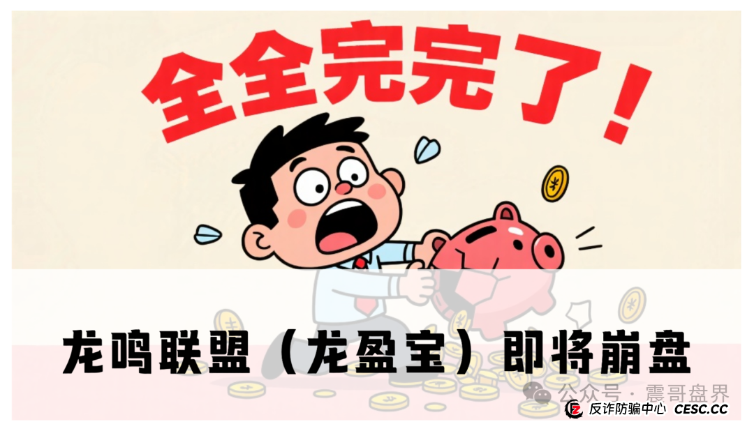 龙鸣联盟(龙盈宝)即将崩盘,震哥带你扒一扒这个专坑人的资金(1) 龙鸣联盟(龙盈宝)即将崩盘,震哥带你扒一扒这个专坑人的资金(1)