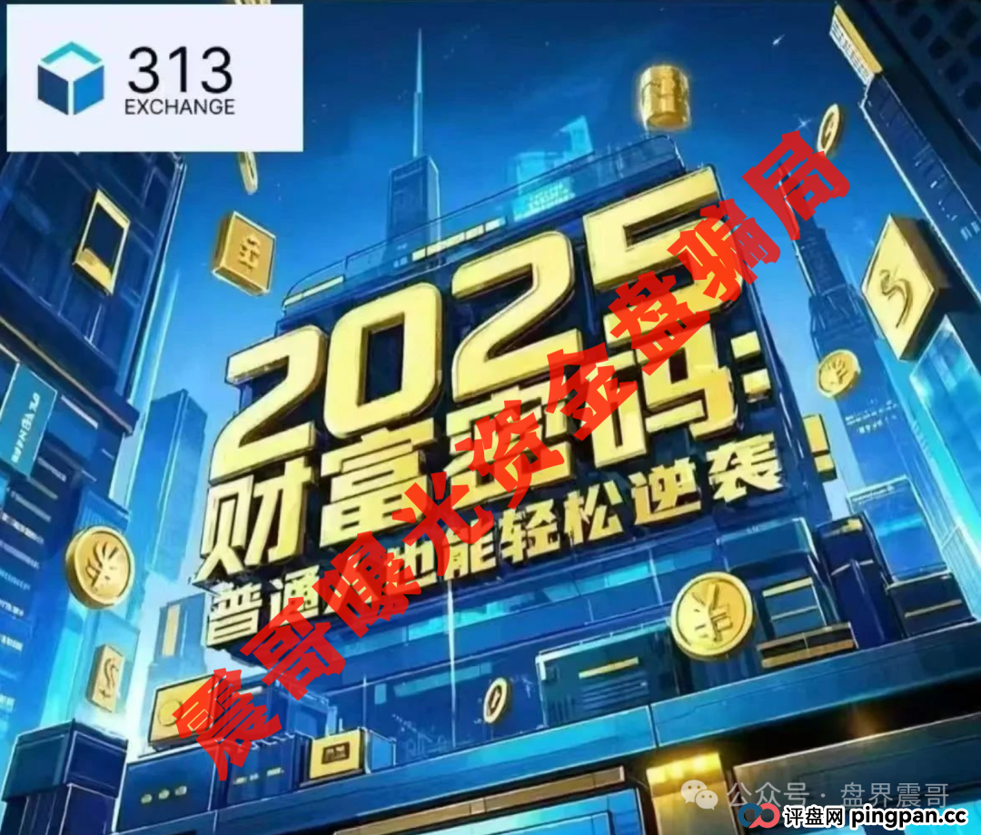 313交易所资金盘骗局,高度预警已到晚期,即将崩盘跑路(3) 313交易所资金盘骗局,高度预警已到晚期,即将崩盘跑路(3)