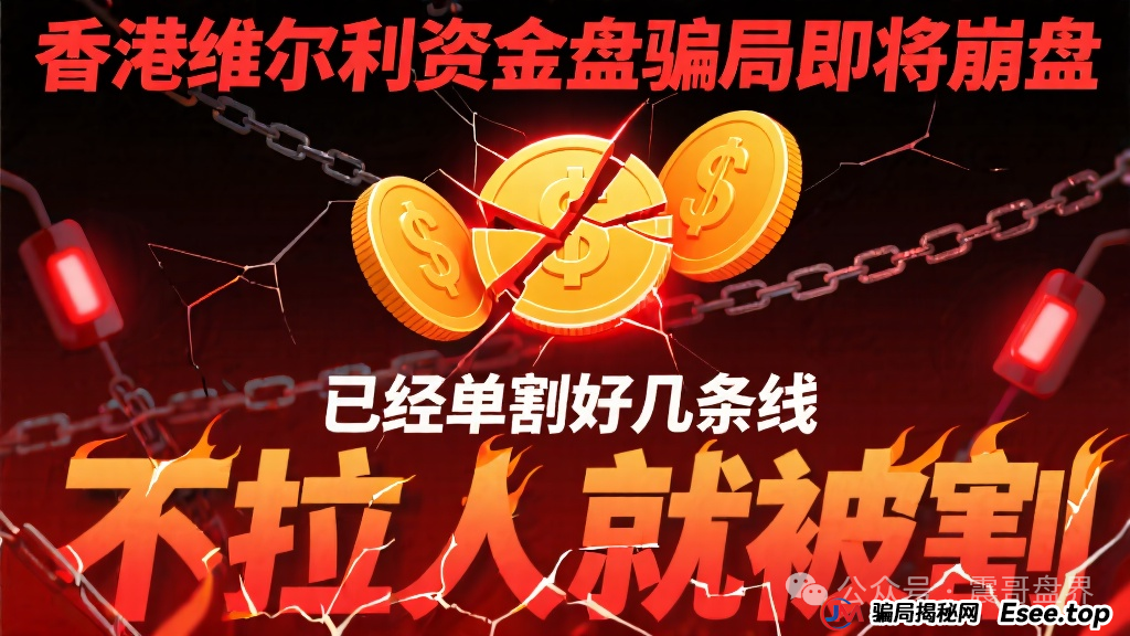 香港维尔利资金盘骗局即将崩盘,已经单割好几条线,不拉人就被割(1) 香港维尔利资金盘骗局即将崩盘,已经单割好几条线,不拉人就被割(1)