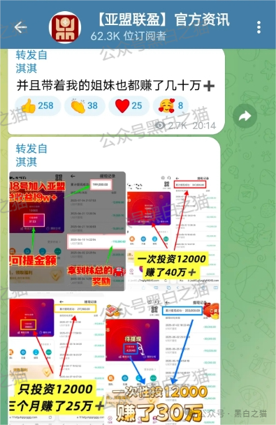 反诈防骗|树拍偏瘫,尚能饭否?“亚盟联盈”在柬埔寨已悄然撤退,参与者能熬过夏季吗?(9) 反诈防骗|树拍偏瘫,尚能饭否?“亚盟联盈”在柬埔寨已悄然撤退,参与者能熬过夏季吗?(9)