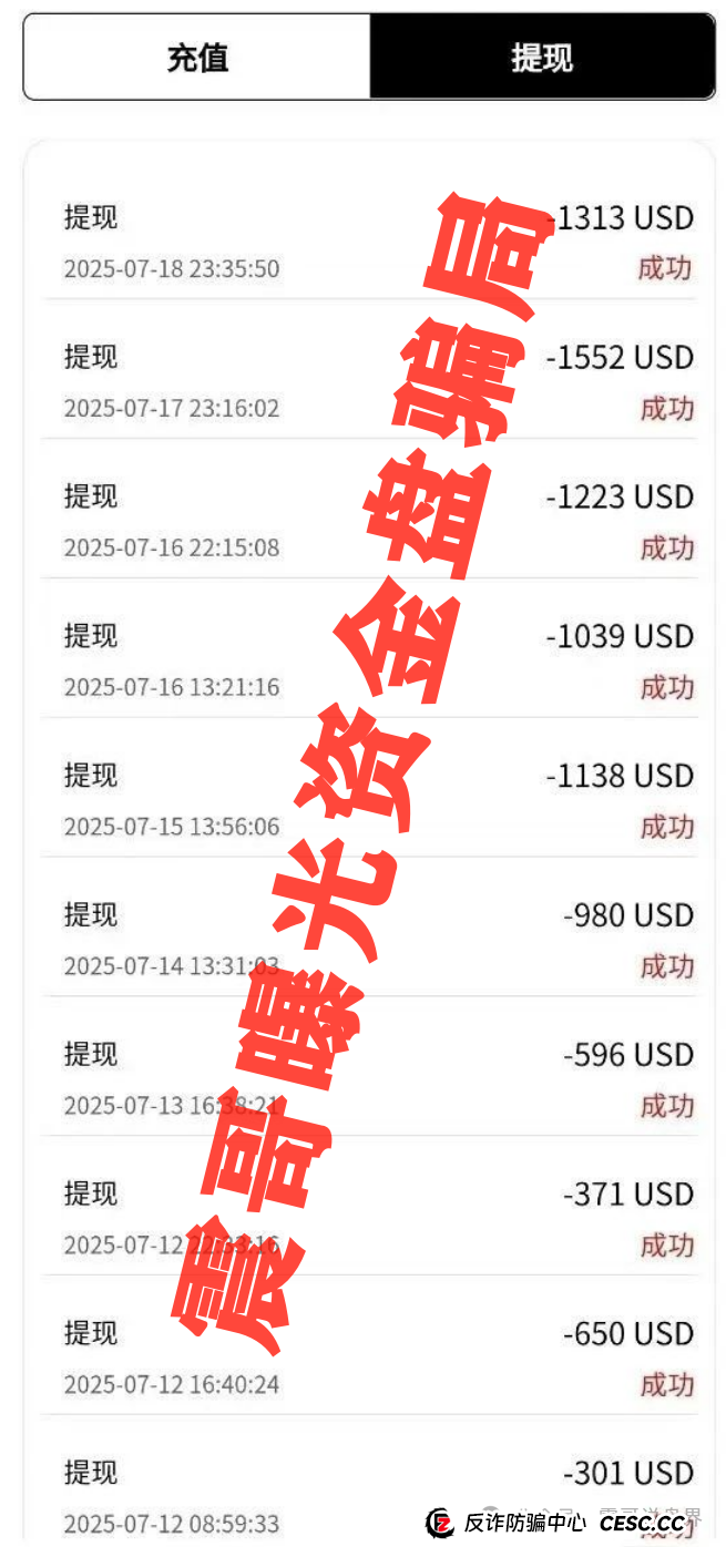 震哥带你扒皮“DFAI”资金盘:这玩意儿到底靠不靠谱?(2) 震哥带你扒皮“DFAI”资金盘:这玩意儿到底靠不靠谱?(2)