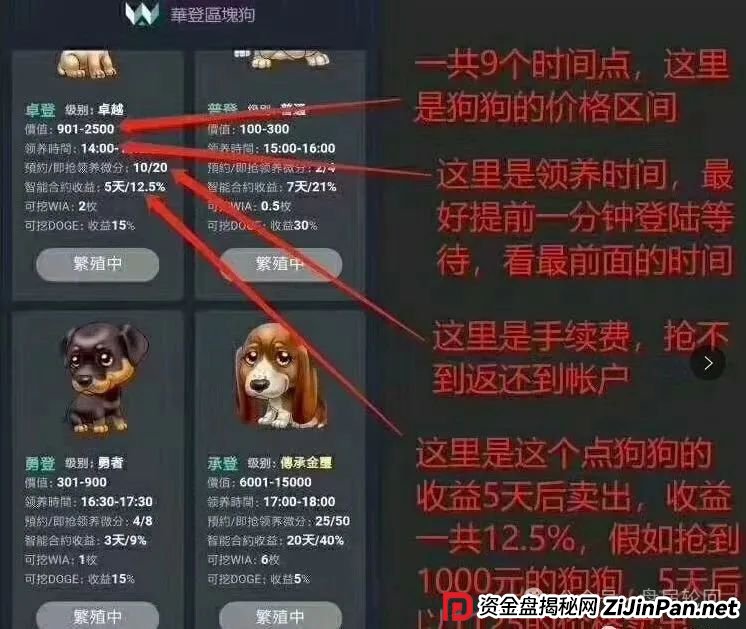 【巢音世代】其本质还是一个抢单互助资金盘 多了一个资金池中央账户 操盘手圈钱过亿 马上崩盘跑路(6) 【巢音世代】其本质还是一个抢单互助资金盘 多了一个资金池中央账户 操盘手圈钱过亿 马上崩盘跑路(6)