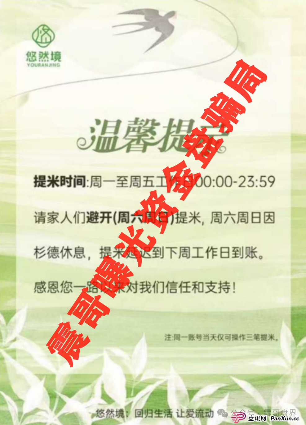 【悠然境暴雷预警】震哥曝提现异常!盘子要翻车?(3) 【悠然境暴雷预警】震哥曝提现异常!盘子要翻车?(3)