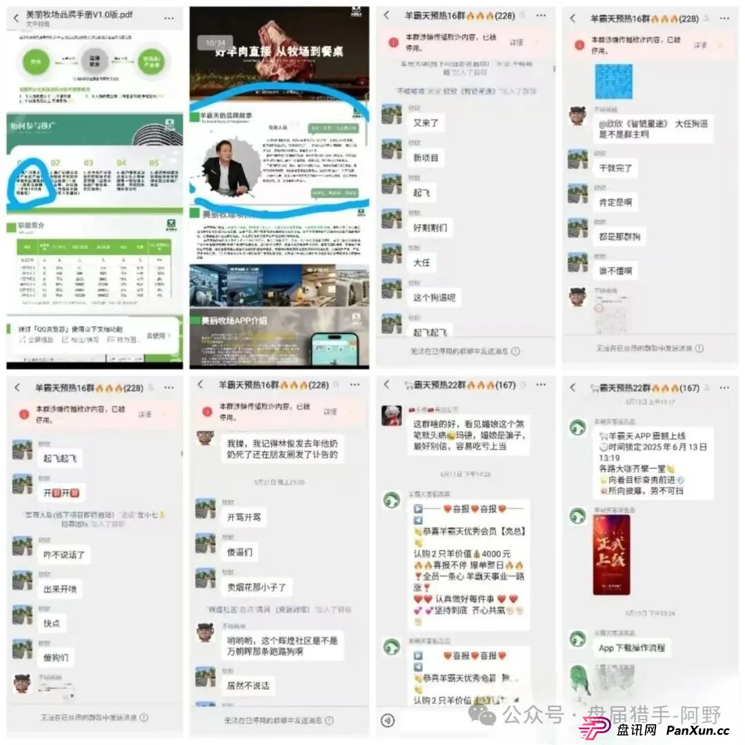 惊爆!“美丽牧场羊霸天”未上线狂揽4000万,竟是惊天资金盘骗局(3) 惊爆!“美丽牧场羊霸天”未上线狂揽4000万,竟是惊天资金盘骗局(3)