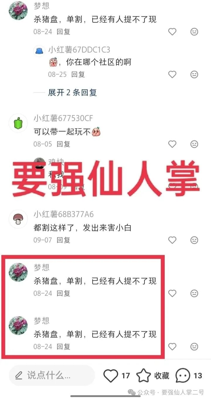 紧急曝光:“睿盛环球Golden Link”连环骗局始末,政府三级预警下的收割狂欢!(6) 紧急曝光:“睿盛环球Golden Link”连环骗局始末,政府三级预警下的收割狂欢!(6)