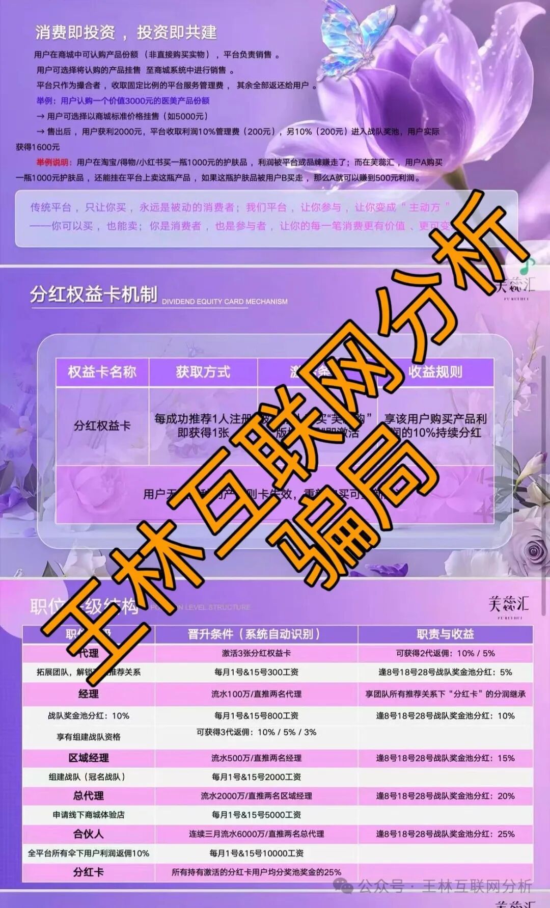 12月24日最新资金盘项目骗局曝光:“鼎亿娱乐、芙蕊汇、筑星源”随时可能卷钱跑路,速度撤离!(2) 12月24日最新资金盘项目骗局曝光:“鼎亿娱乐、芙蕊汇、筑星源”随时可能卷钱跑路,速度撤离!(2)