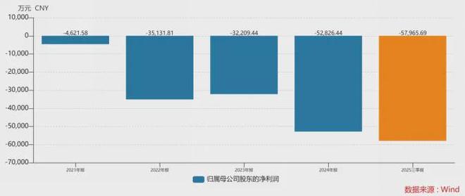 2亿侵占案判了,中百集团“失血”仍未停,转型难补巨额亏损(1) 2亿侵占案判了,中百集团“失血”仍未停,转型难补巨额亏损(1)