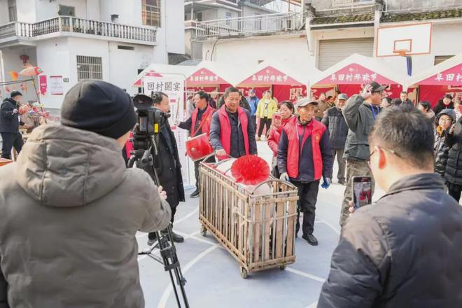 我，30岁，做乡村运营生意，公司年入超7000万元｜新春走基层(6)