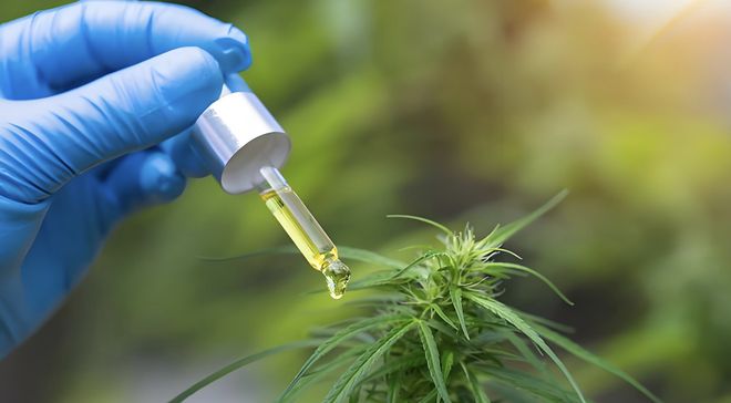 贝因美赌大麻官司缠身,“国产奶粉第一股”为何走偏?(3) 贝因美赌大麻官司缠身,“国产奶粉第一股”为何走偏?(3)