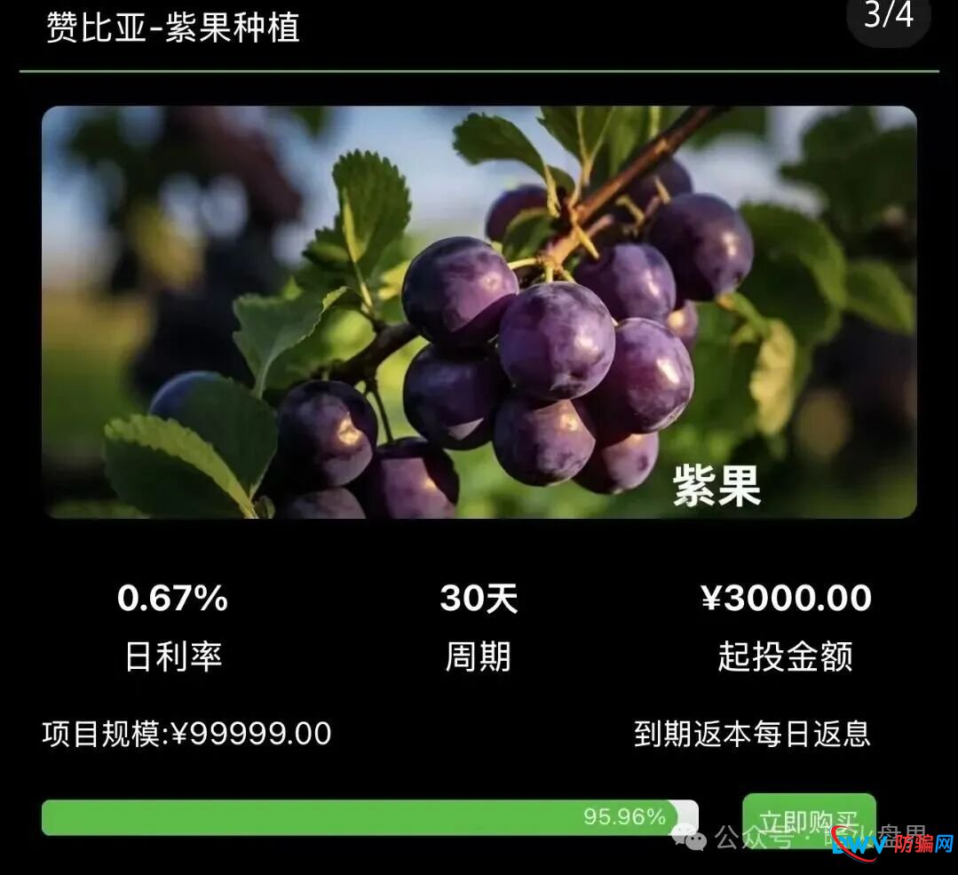 “华洋绿投”海外种果树资金盘骗局，专坑想赚快钱的普通人，随时崩盘跑路！(2)