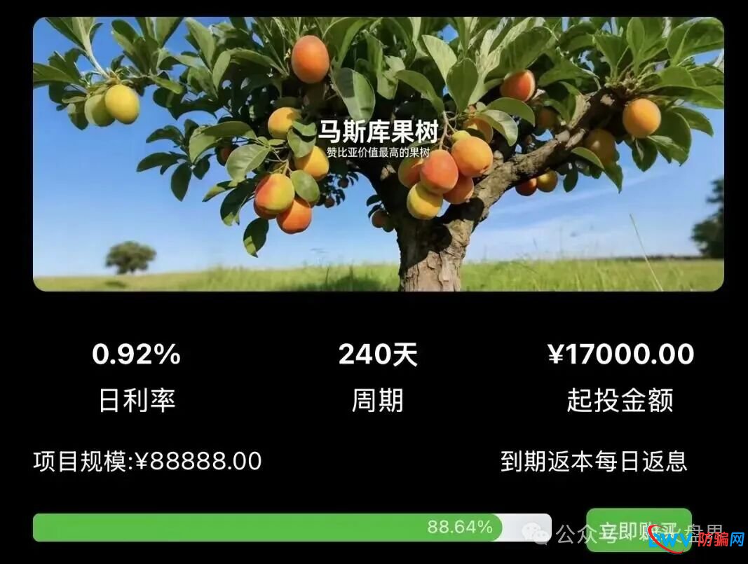 “华洋绿投”海外种果树资金盘骗局，专坑想赚快钱的普通人，随时崩盘跑路！(3)