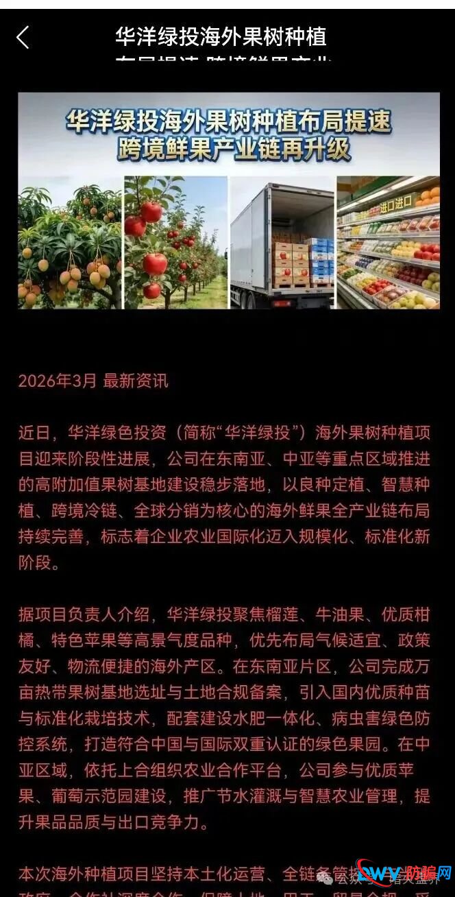 “华洋绿投”海外种果树资金盘骗局，专坑想赚快钱的普通人，随时崩盘跑路！(5)