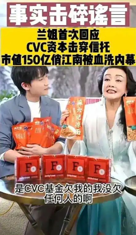 2亿元名画被扣押,张兰被判欺诈性转移资产,她还欠多少钱?(4) 2亿元名画被扣押,张兰被判欺诈性转移资产,她还欠多少钱?(4)