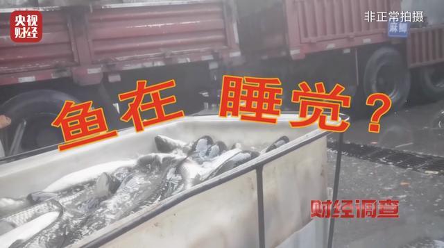 工业酒精勾兑麻醉剂,这种“休眠鱼”可能流向你的餐桌(1) 工业酒精勾兑麻醉剂,这种“休眠鱼”可能流向你的餐桌(1)