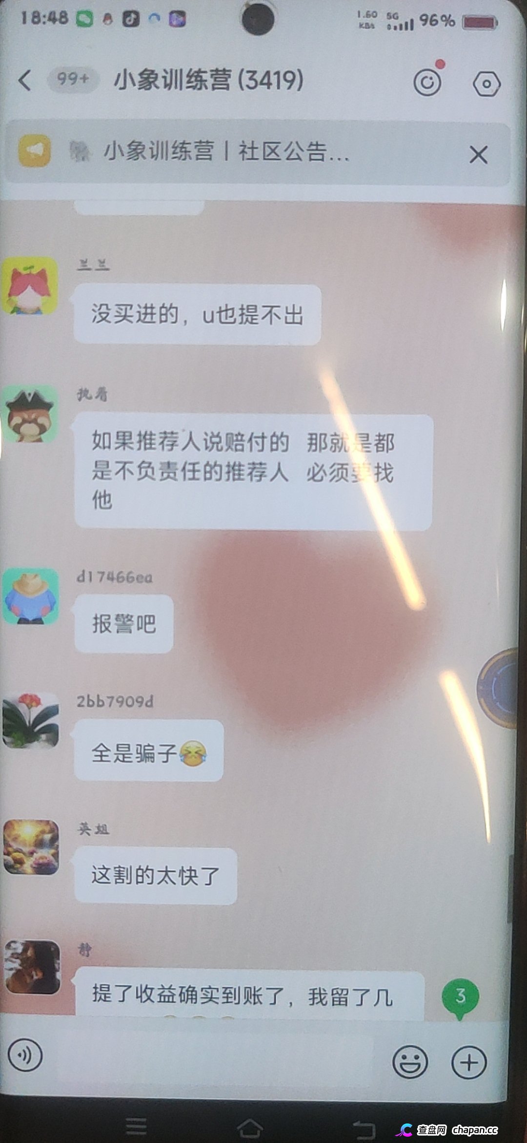 大象社区杀猪盘全面崩盘血洗实录：一夜爆仓4000万，群内全员禁言，狗托＂兵哥＂还在忽悠充值抄底，受害者已集体报警！(1)