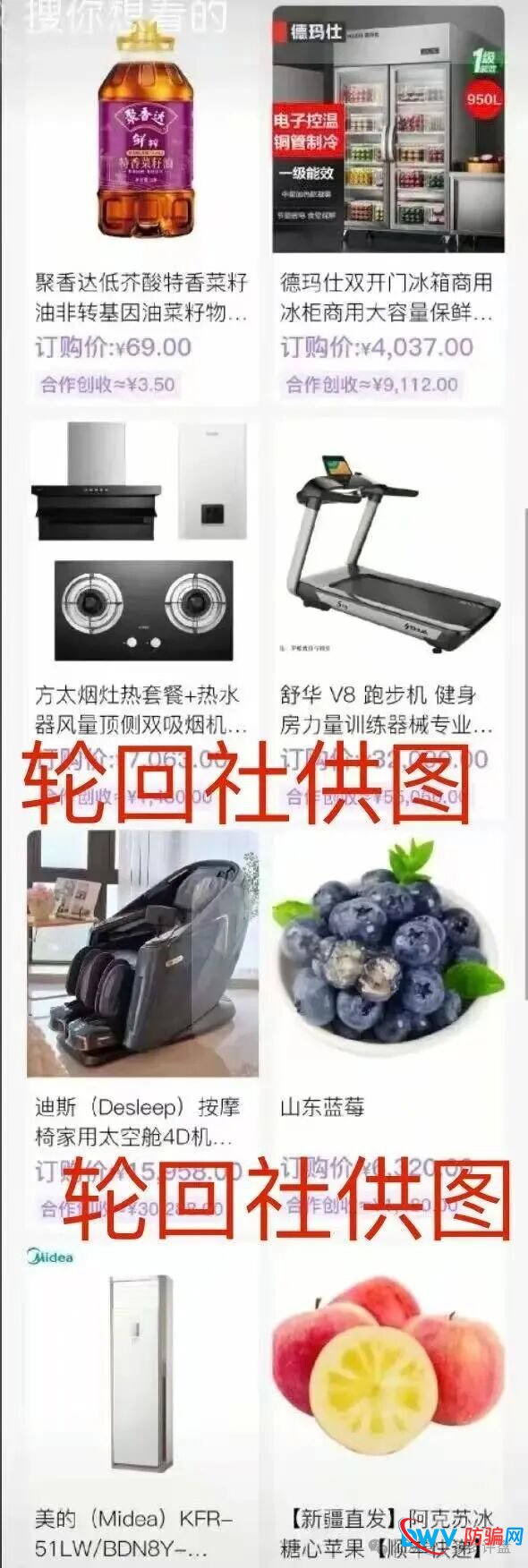 警惕！＂香港蜂巢聚优＂：披着跨境电商外衣的资金盘传销陷阱(1)