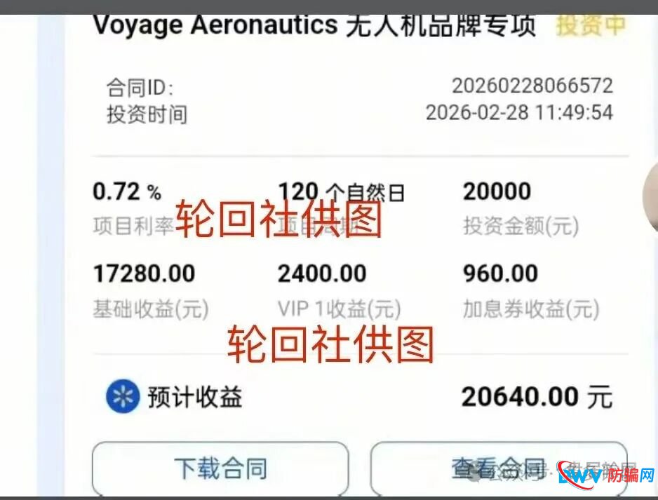 警惕！＂香港蜂巢聚优＂：披着跨境电商外衣的资金盘传销陷阱(2)