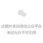 警惕!“中伊友谊,超智链,奥斯卡银行”这12个项目都是骗局,有的刚上线骗钱来了,赶紧跑!(8) 警惕!“中伊友谊,超智链,奥斯卡银行”这12个项目都是骗局,有的刚上线骗钱来了,赶紧跑!(8)